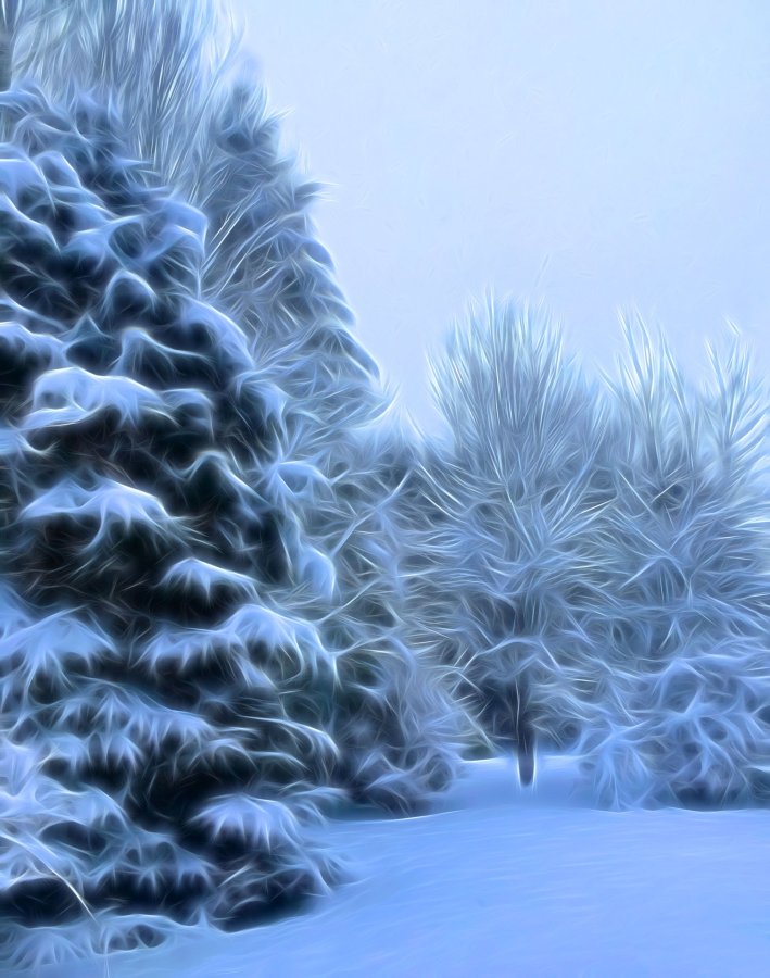 Leah Murray, the Court of the Snow Queen