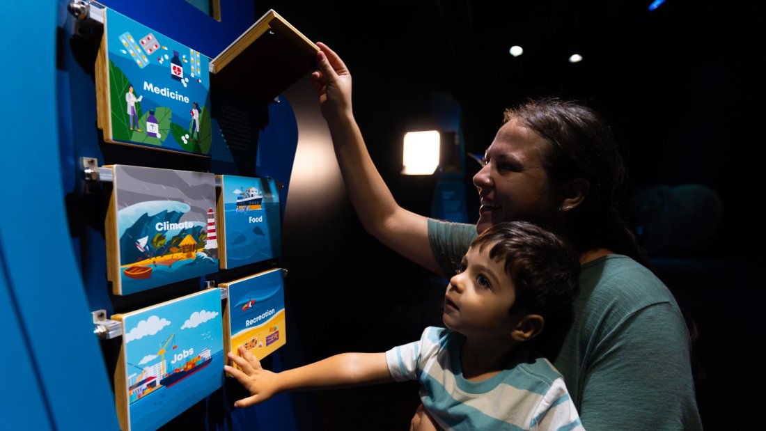 ocean bound exhibit