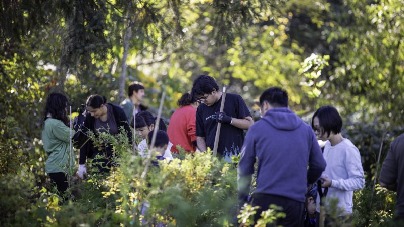 a group of people plant trees