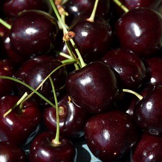 A basket filled with deep red, glossy Bing cherries.
