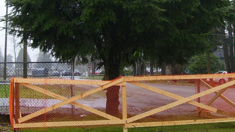 Building Site Tree Requirements