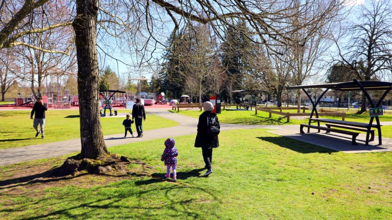 people enjoying a park on a sunny day