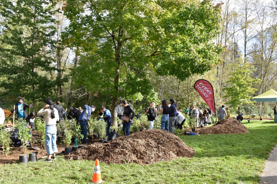 Community volunteers planting trees at an outdoor event.