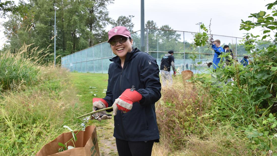 Volunteer removing blackberry.