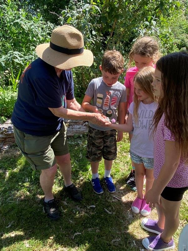 Educator showing a small creature to an engaged group of children outdoors.
