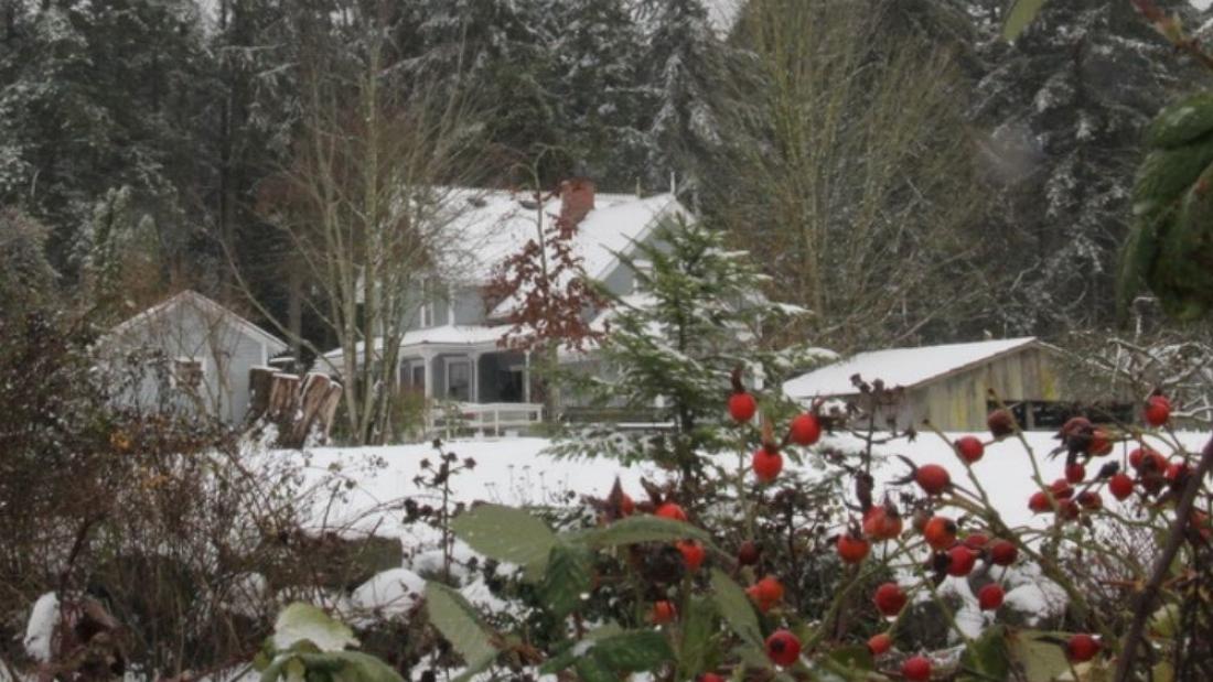 The farm covered in snow