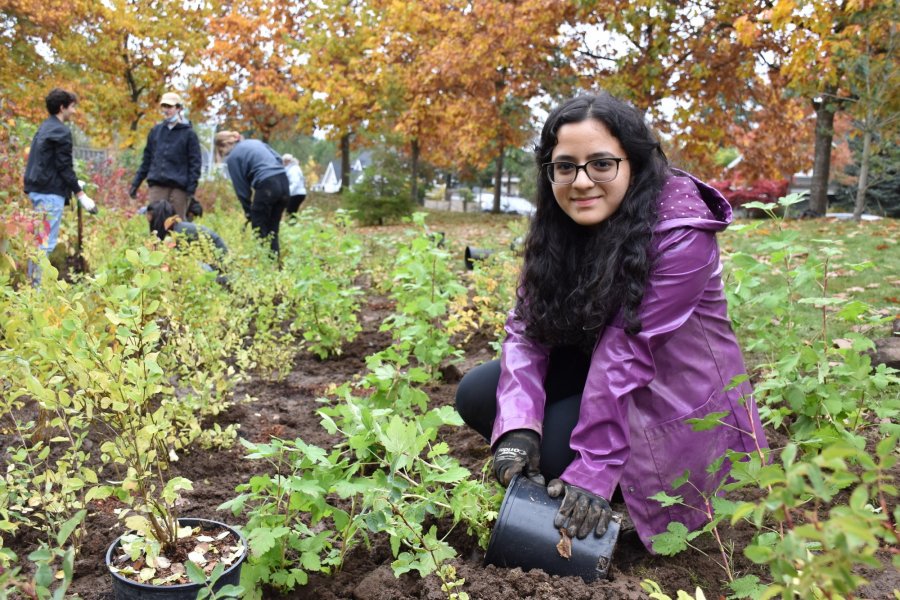 youth planting tree