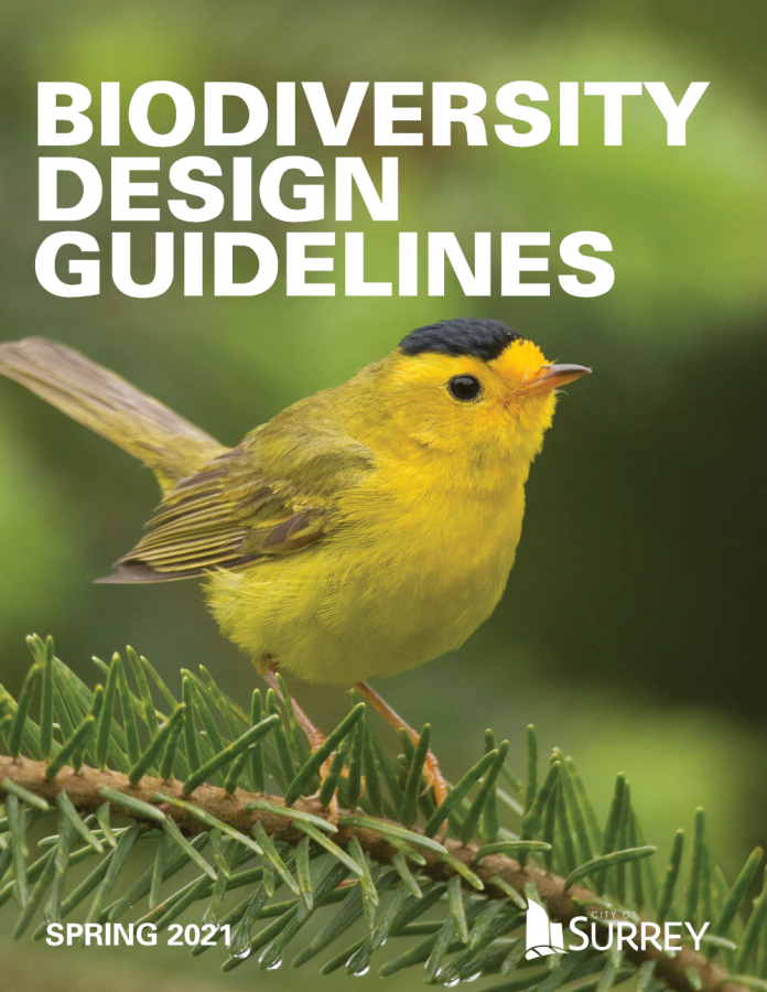 Yellow bird on a branch