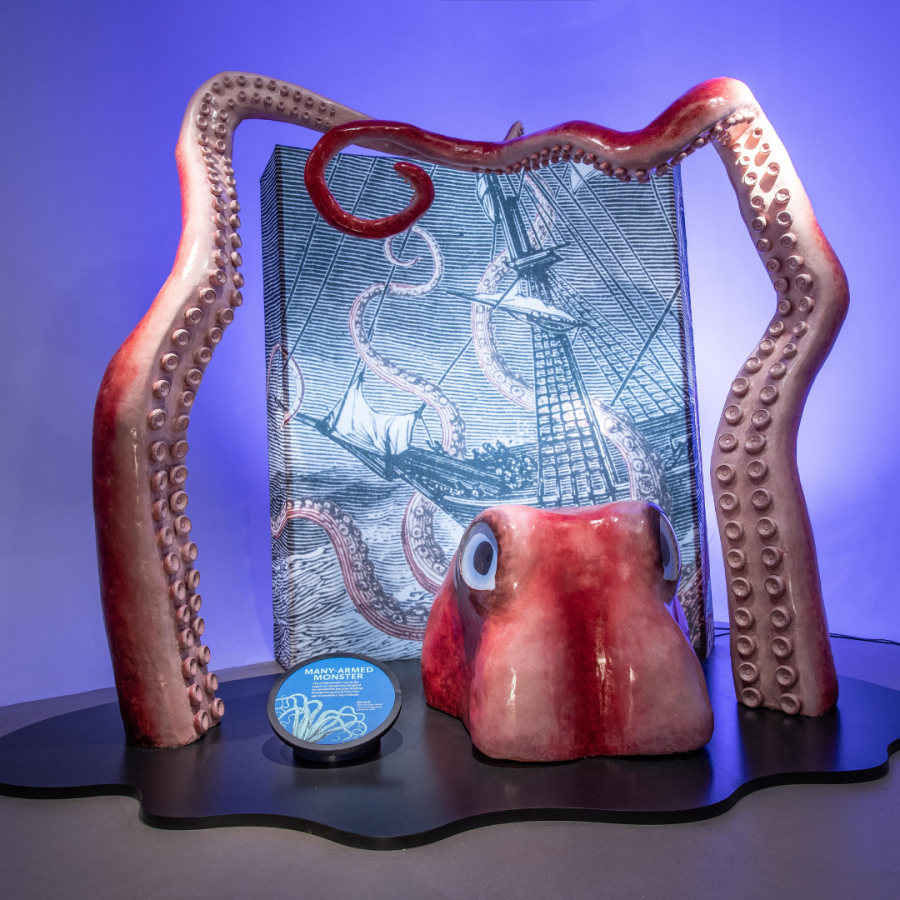 a gigant octopus