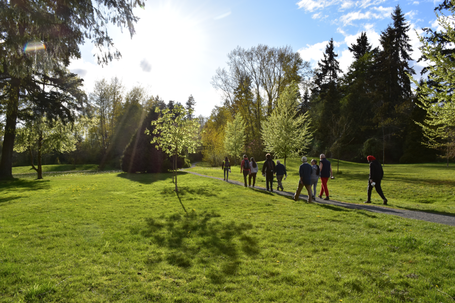 A group of people walking in a park