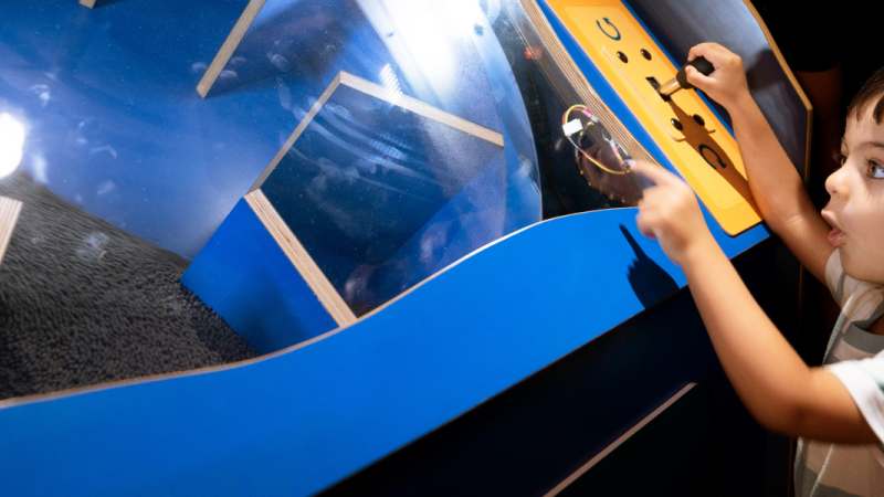 ocean bound exhibit