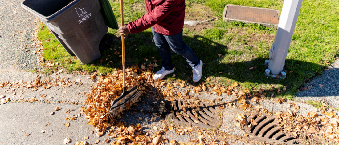 Raking leaves