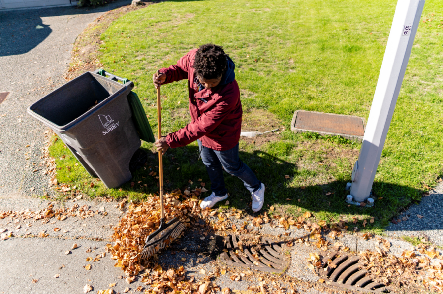 Raking leaves