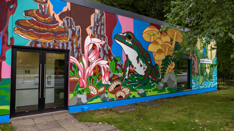 Colorful mural featuring a large frog, mushrooms, and plants on the side of a building.