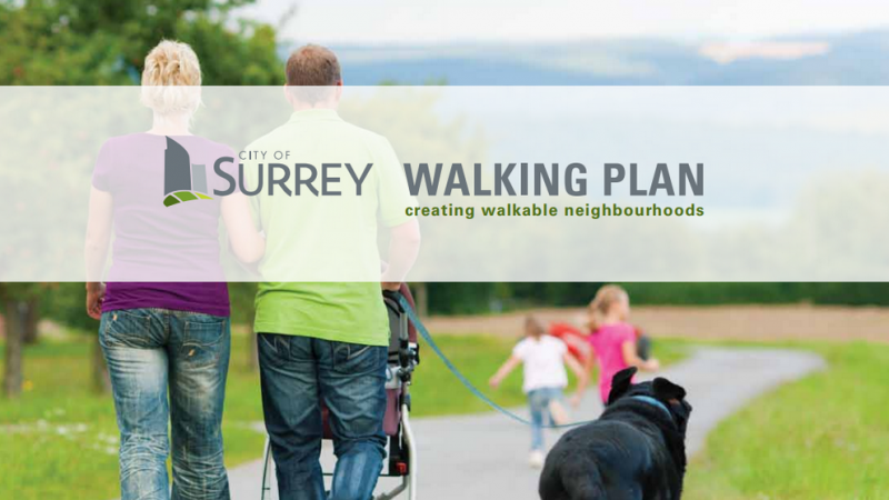 Walking Plan cover image