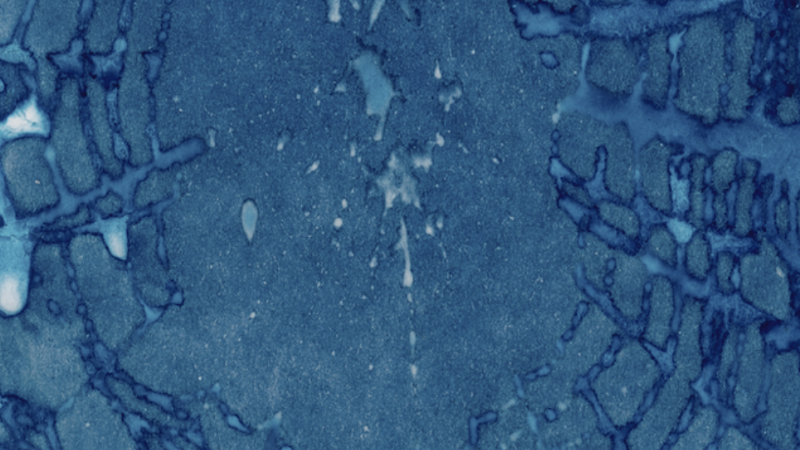 A textured blue image that resembles rippling water or a spider web.