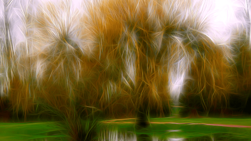 Wet Willow Weeping by Leah Murray