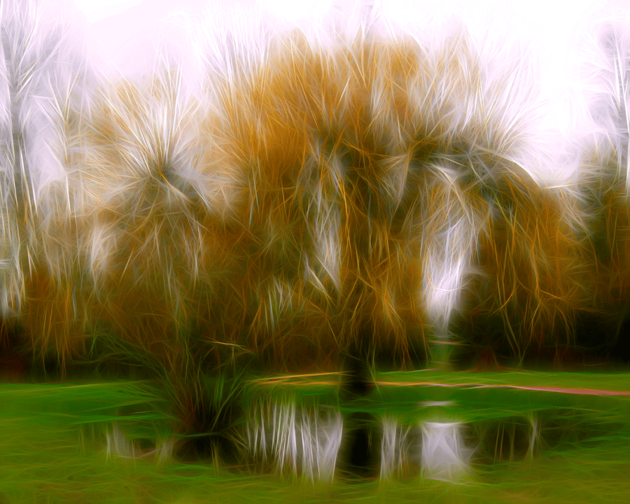 Wet Willow Weeping by Leah Murray